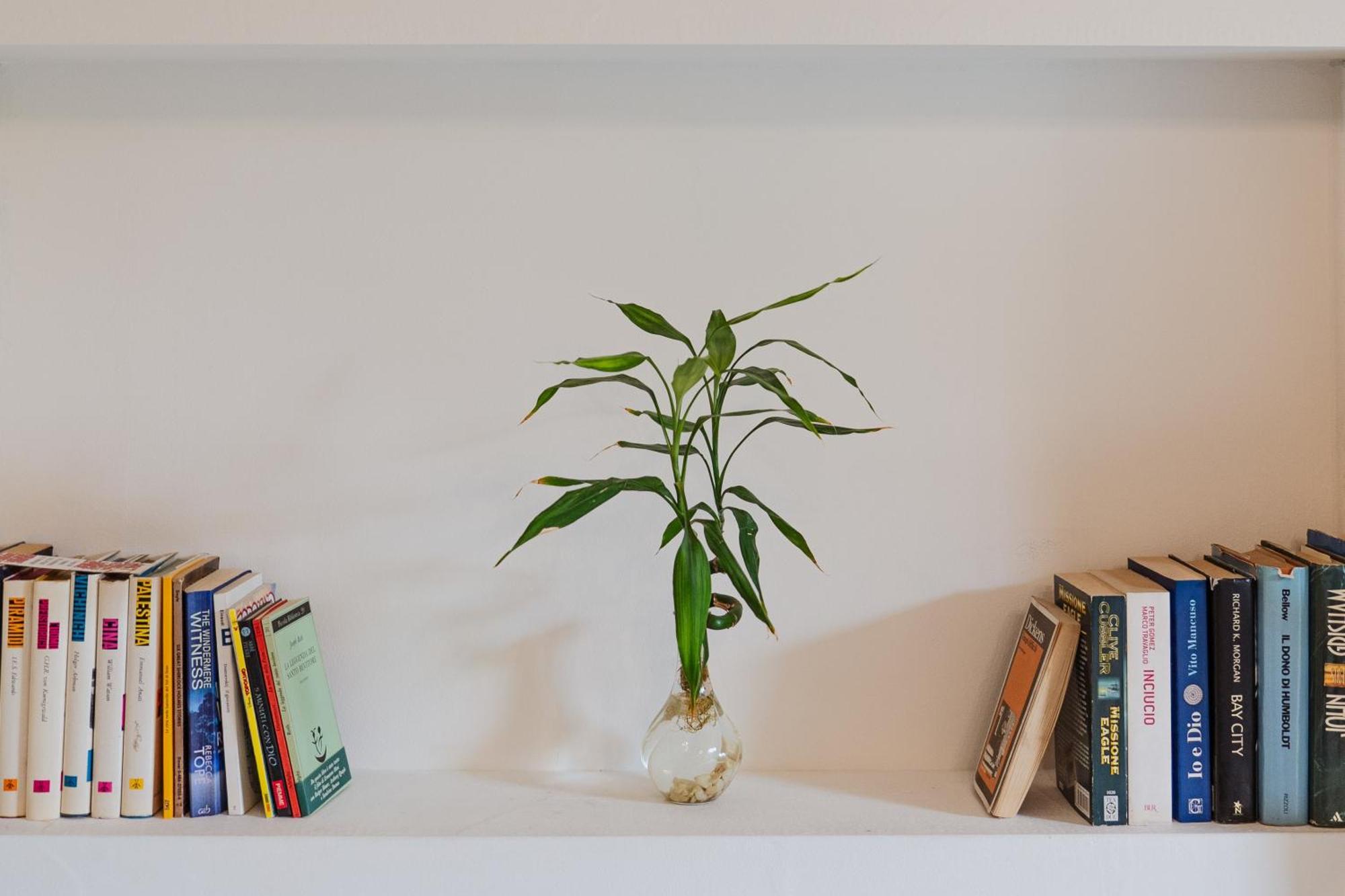 Bed And Books Bed and Breakfast Catánia Buitenkant foto